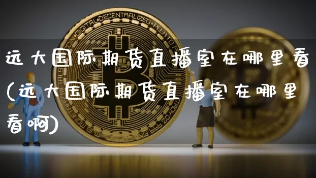 远大国际期货直播室在哪里看(远大国际期货直播室在哪里看啊)_https://www.jianghaiboli.com_期货_第1张