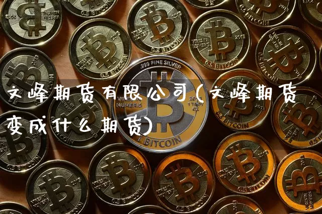 文峰期货有限公司(文峰期货变成什么期货)_https://www.jianghaiboli.com_恒指期货_第1张