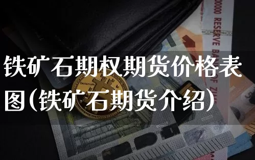 铁矿石期权期货价格表图(铁矿石期货介绍)_https://www.jianghaiboli.com_外盘期货_第1张