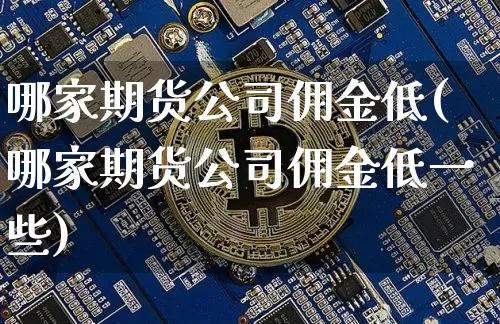 哪家期货公司佣金低(哪家期货公司佣金低一些)_https://www.jianghaiboli.com_恒指期货_第1张