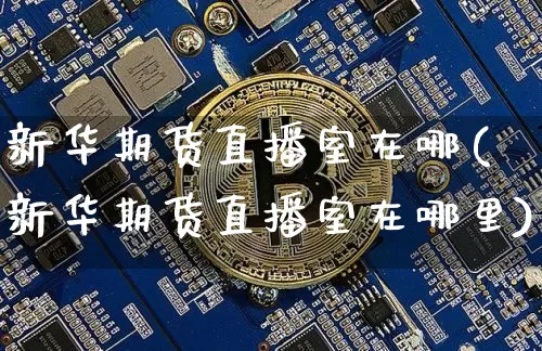 新华期货直播室在哪(新华期货直播室在哪里)_https://www.jianghaiboli.com_期货_第1张