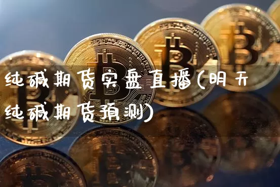 纯碱期货实盘直播(明天纯碱期货预测)_https://www.jianghaiboli.com_黄金期货_第1张