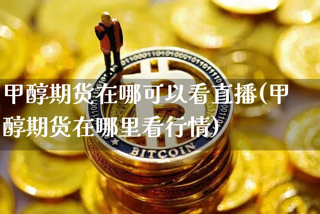 甲醇期货在哪可以看直播(甲醇期货在哪里看行情)_https://www.jianghaiboli.com_黄金期货_第1张