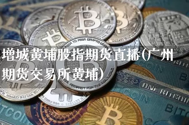 增城黄埔股指期货直播(广州期货交易所黄埔)_https://www.jianghaiboli.com_外盘期货_第1张
