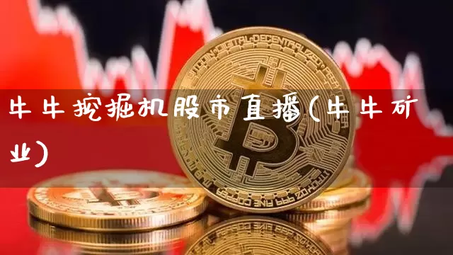 牛牛挖掘机股市直播(牛牛矿业)_https://www.jianghaiboli.com_外盘期货_第1张