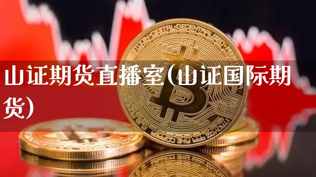 山证期货直播室(山证国际期货)_https://www.jianghaiboli.com_黄金期货_第1张