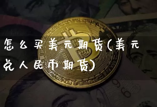 怎么买美元期货(美元兑人民币期货)_https://www.jianghaiboli.com_原油期货_第1张