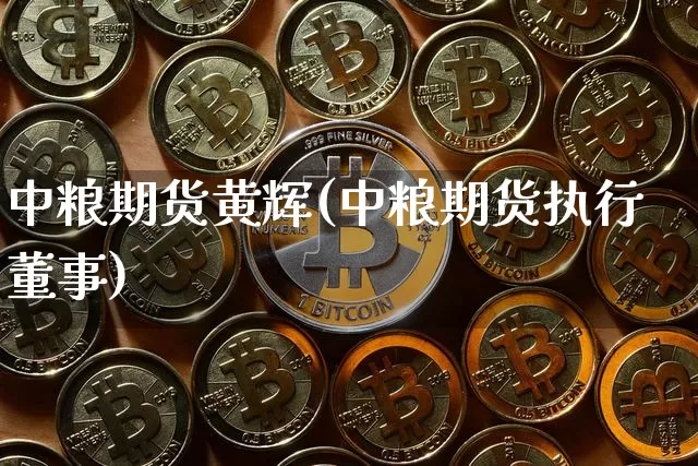 中粮期货黄辉(中粮期货执行董事)_https://www.jianghaiboli.com_外盘期货_第1张