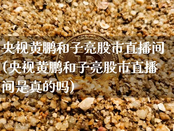央视黄鹏和子亮股市直播间(央视黄鹏和子亮股市直播间是真的吗)_https://www.jianghaiboli.com_期货_第1张