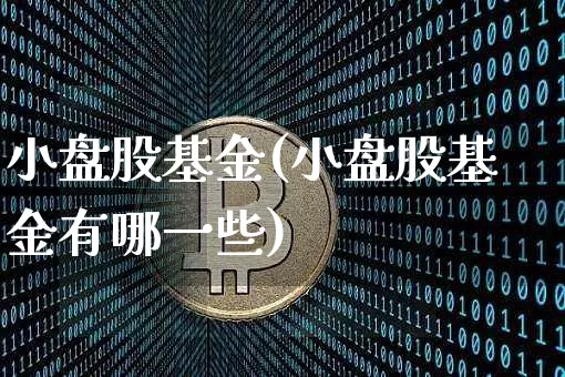 小盘股基金(小盘股基金有哪一些)_https://www.jianghaiboli.com_期货_第1张