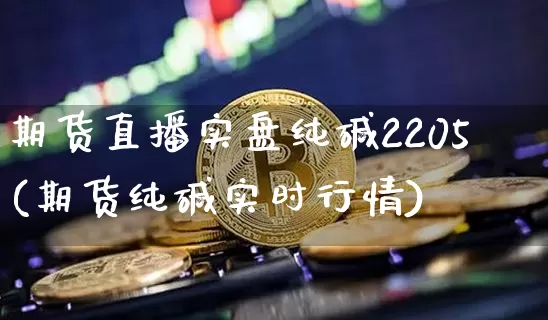 期货直播实盘纯碱2205(期货纯碱实时行情)_https://www.jianghaiboli.com_原油期货_第1张