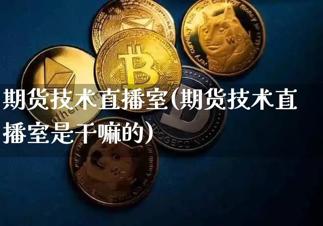 期货技术直播室(期货技术直播室是干嘛的)_https://www.jianghaiboli.com_期货_第1张