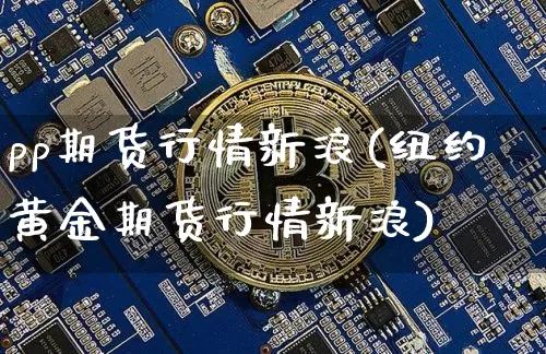 pp期货行情新浪(纽约黄金期货行情新浪)_https://www.jianghaiboli.com_黄金期货_第1张