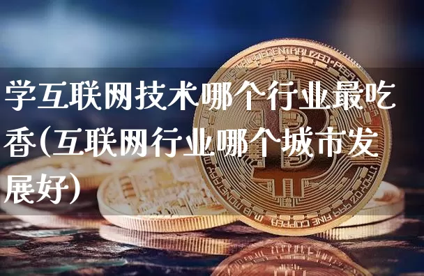 学互联网技术哪个行业最吃香(互联网行业哪个城市发展好)_https://www.jianghaiboli.com_原油期货_第1张