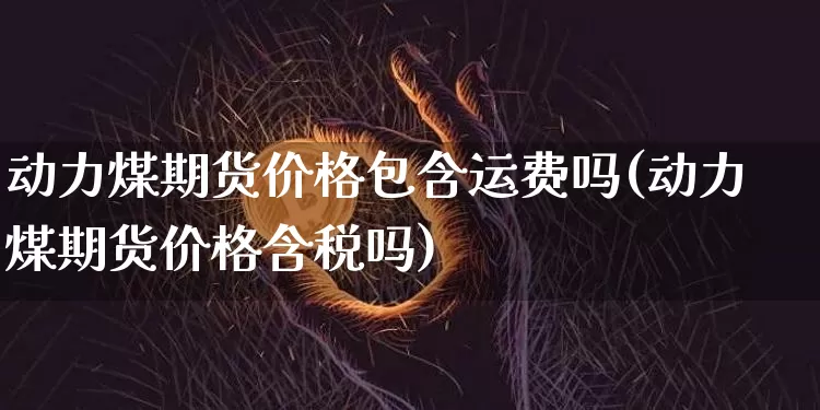 动力煤期货价格包含运费吗(动力煤期货价格含税吗)_https://www.jianghaiboli.com_外盘期货_第1张