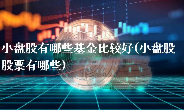 小盘股有哪些基金比较好(小盘股股票有哪些)_https://www.jianghaiboli.com_黄金期货_第1张
