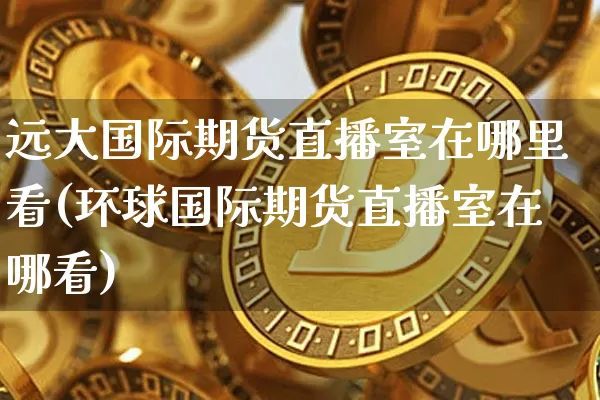 远大国际期货直播室在哪里看(环球国际期货直播室在哪看)_https://www.jianghaiboli.com_期货_第1张